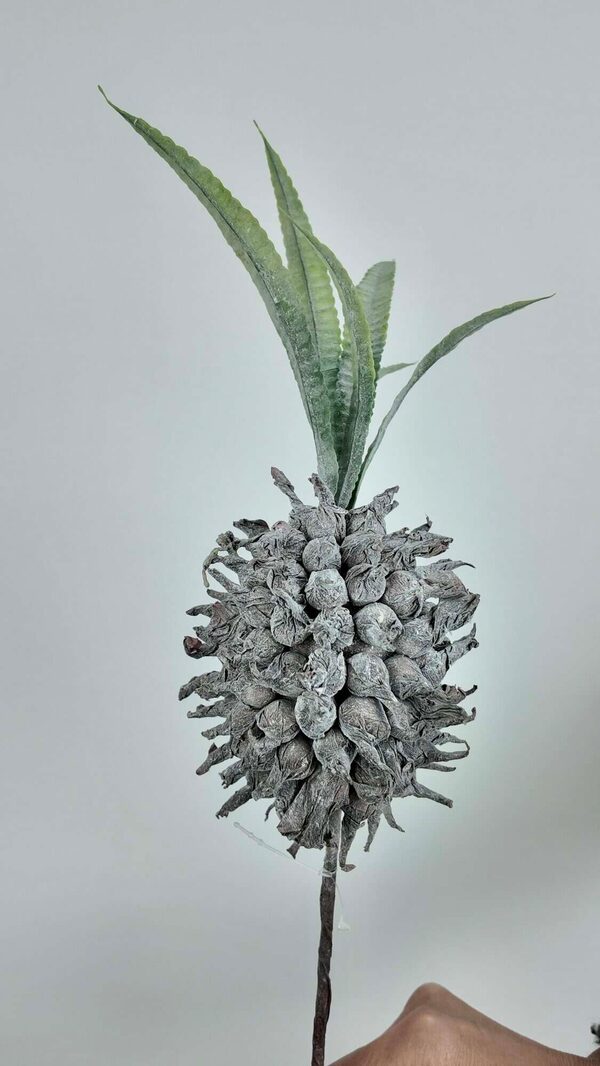 Ananas Garnitür