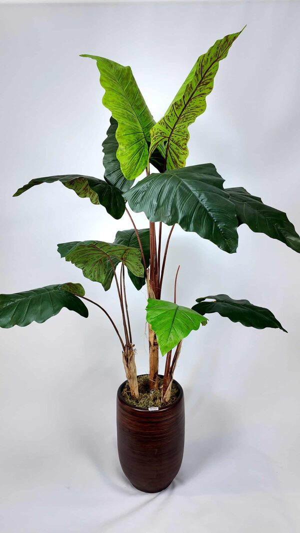 Alocasia Fil Kulağı Yapay Ağaç detay fotoğrafı