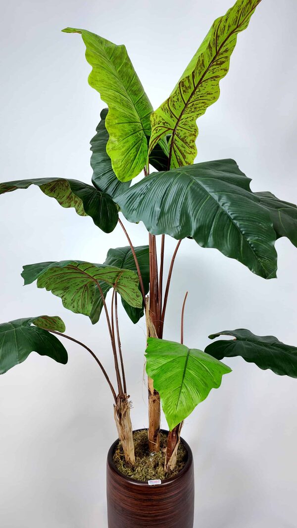 Alocasia Fil Kulağı Yapay Ağaç yaprak detayı