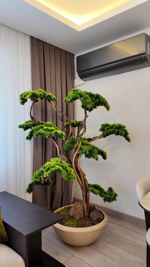Villa Dekorasyonu İçin Bonsai Ağacı