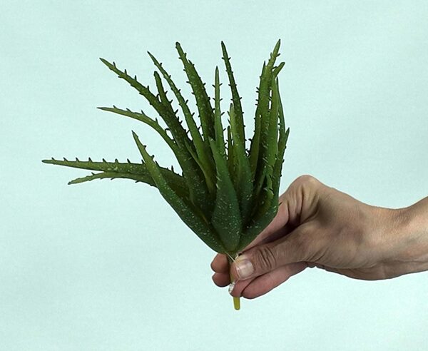 Yapay Aloe Vera Fanus Bitkileri - Yapay Çiçek