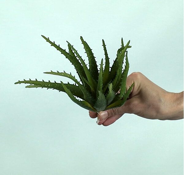 Yapay Aloe Vera Fanus Bitkileri - Yapay Çiçek