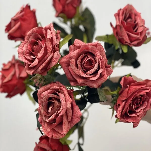 Kırmızı G&uuml;l Demeti