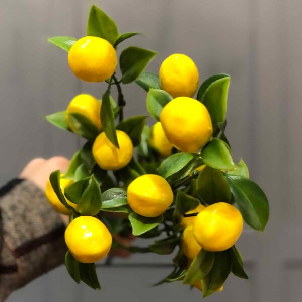 Yapay Küçük Limon Demeti