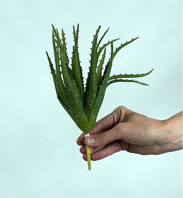 Yapay Aloe Vera Fanus Bitkileri - Yapay Çiçek