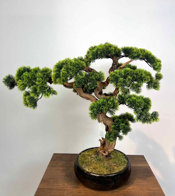 Yapay Küçük Bonsai Ağacı Detay Fotoğrafı