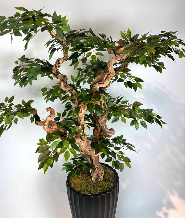 Yapay Ficus Bonzai Ağacı yaprak g&ouml;r&uuml;n&uuml;m&uuml;