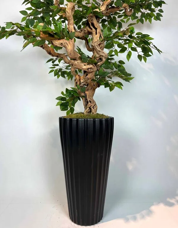Yapay Ficus Bonzai Ağacı g&ouml;vde g&ouml;r&uuml;n&uuml;m&uuml;