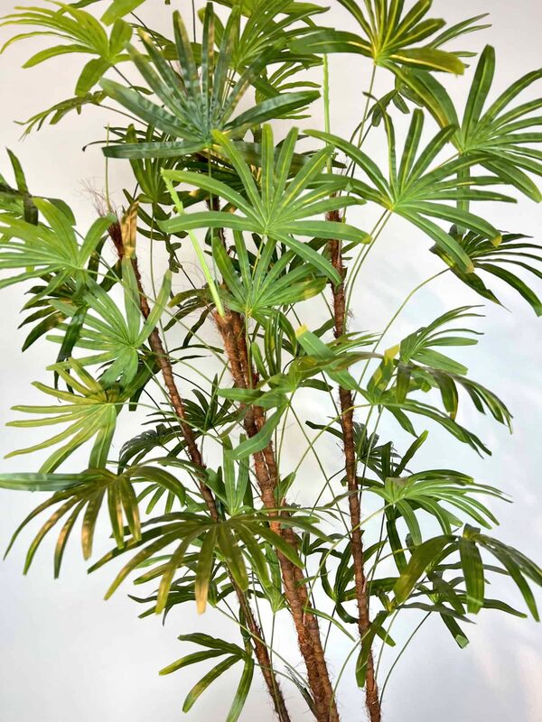 Yapay Rhapis Palmiyesi yaprak detayı