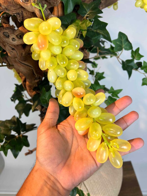 Yapay Üzüm Ağacı üzüm fotoğrafı
