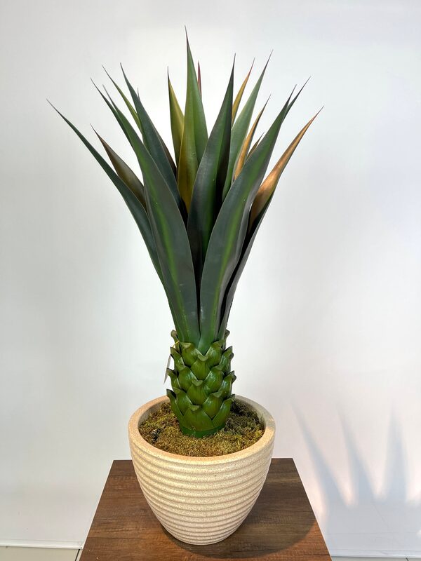 Dekoratif Yapay Agave Ağacı Detaylı Fotoğrafı