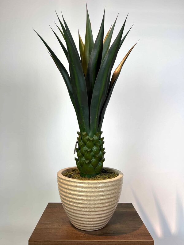 Dekoratif Yapay Agave Ağacı saksı detayı
