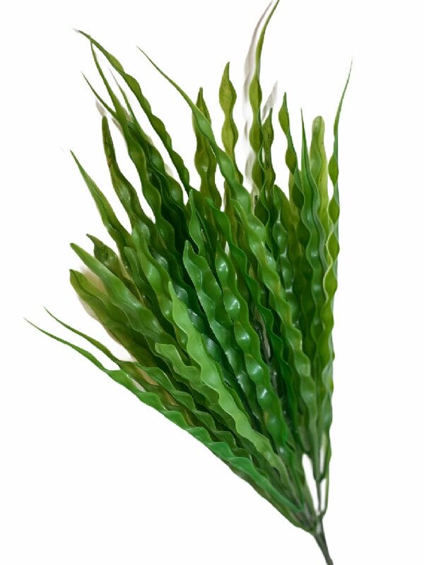 Dikey Bahçe Yeşillikleri