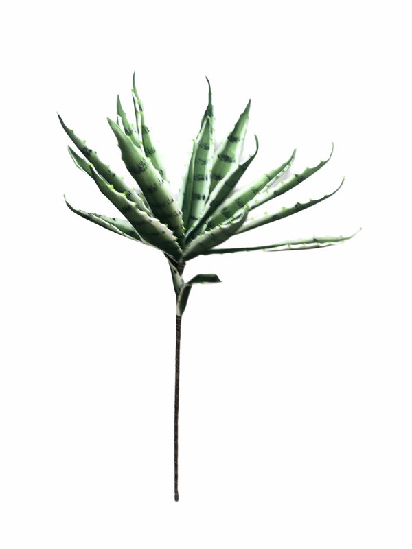 Aloe Vera Eva Yapay Çiçek