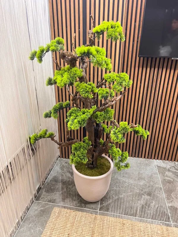 Yapay Bonsai (Bonzai) Ağacı 1.80 Mt M&uuml;şteri resimleri 1