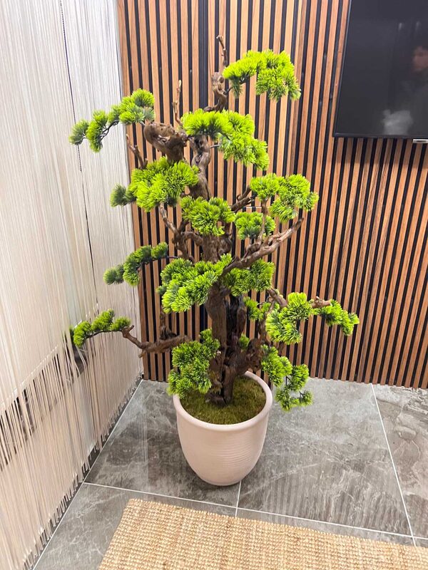 Yapay Bonsai (Bonzai) Ağacı 1.60 Mt Müşteri resimleri 1
