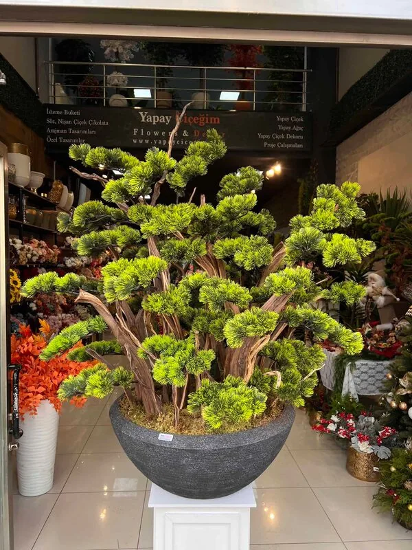 Premium Yapay Bonzai detay Fotoğrafı