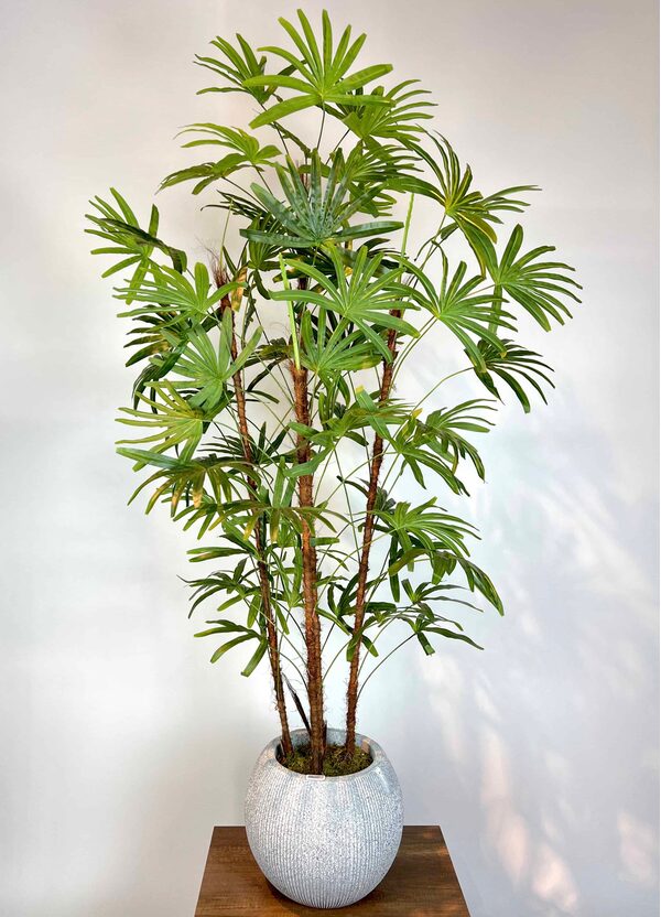 Yapay Rhapis Palmiyesi Detaylı Fotoğrafı