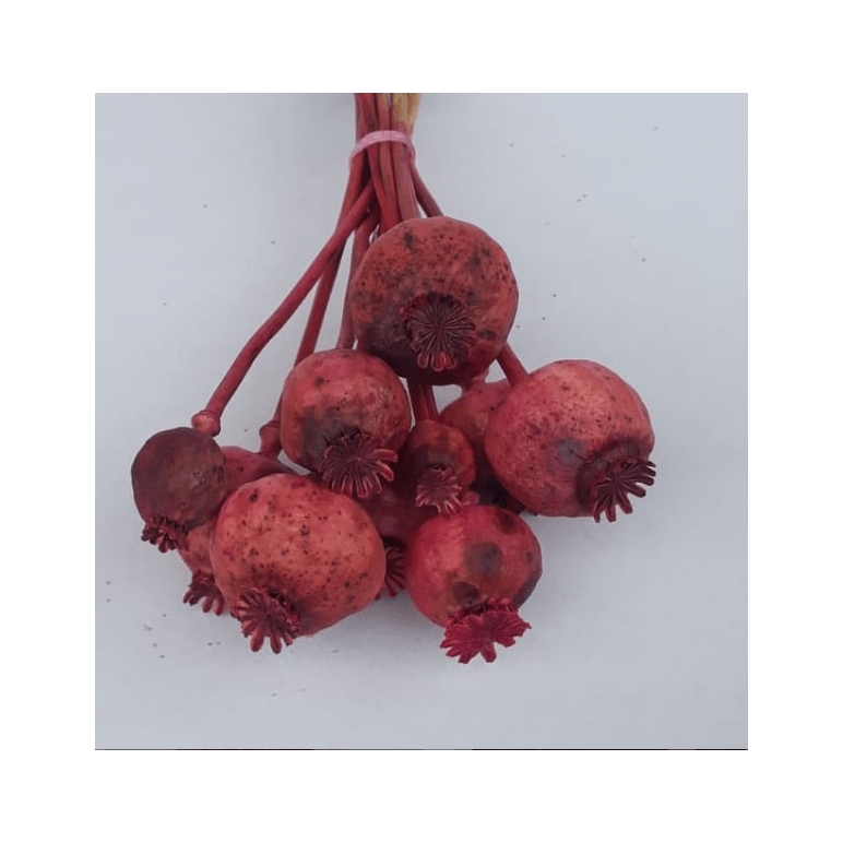 Pembe Haşhaş Otu - Dogal Papaver Kuru Çiçek - 1720