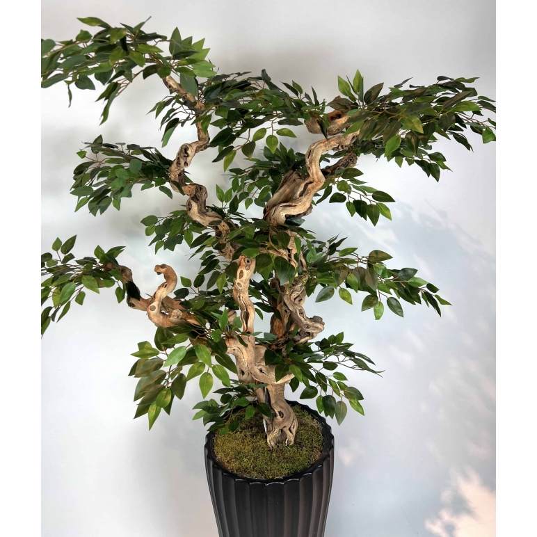 Yapay Ficus Bonzai Ağacı yaprak görünümü