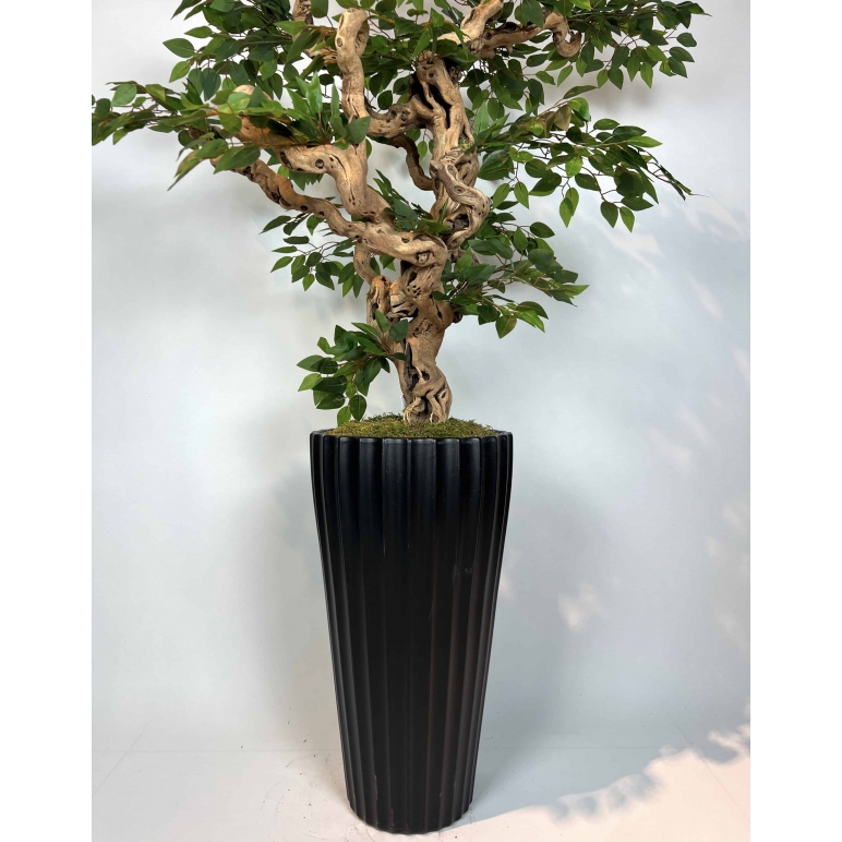 Yapay Ficus Bonzai Ağacı gövde görünümü