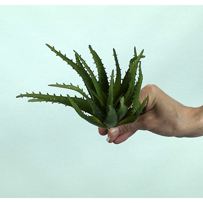 Yapay Aloe Vera Fanus Bitkileri - Yapay Çiçek