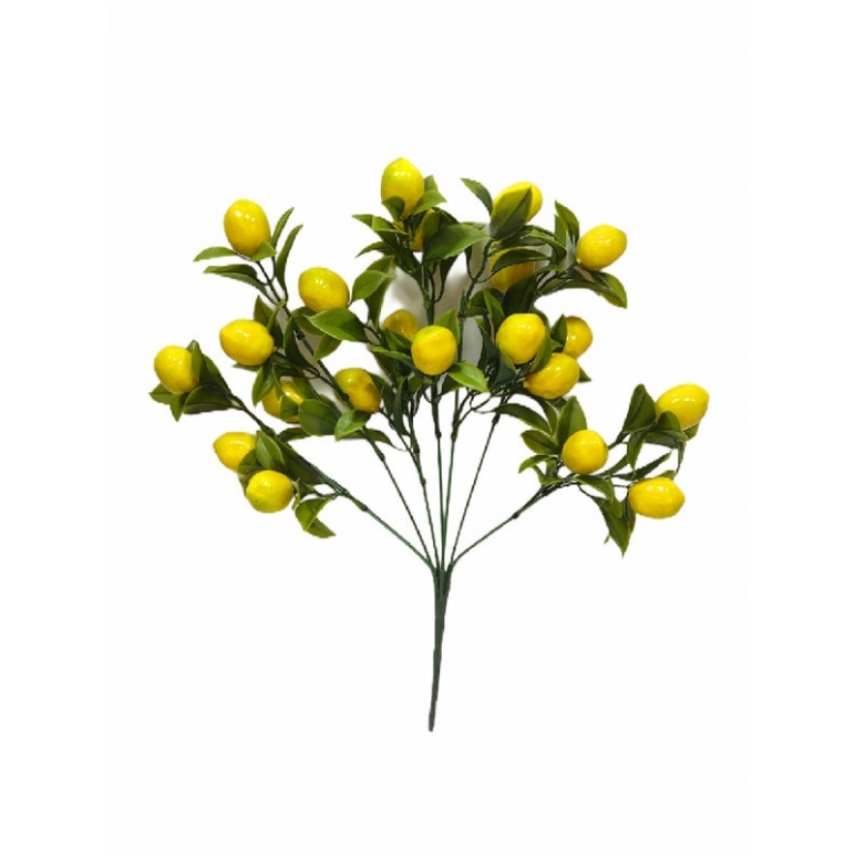 Yapay Limon Demeti