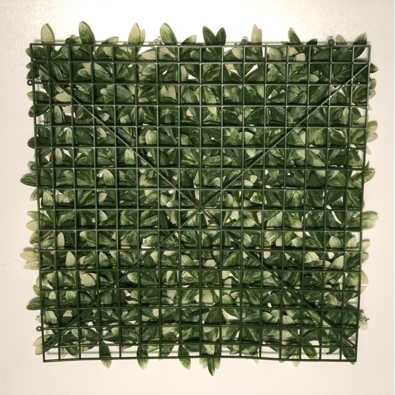 Artificial Green Wall at Best Price in Germany 50x50 cm
