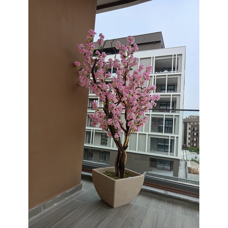 Premium Yapay Sakura Ağacı Uzak Çekim Fotoğrafı