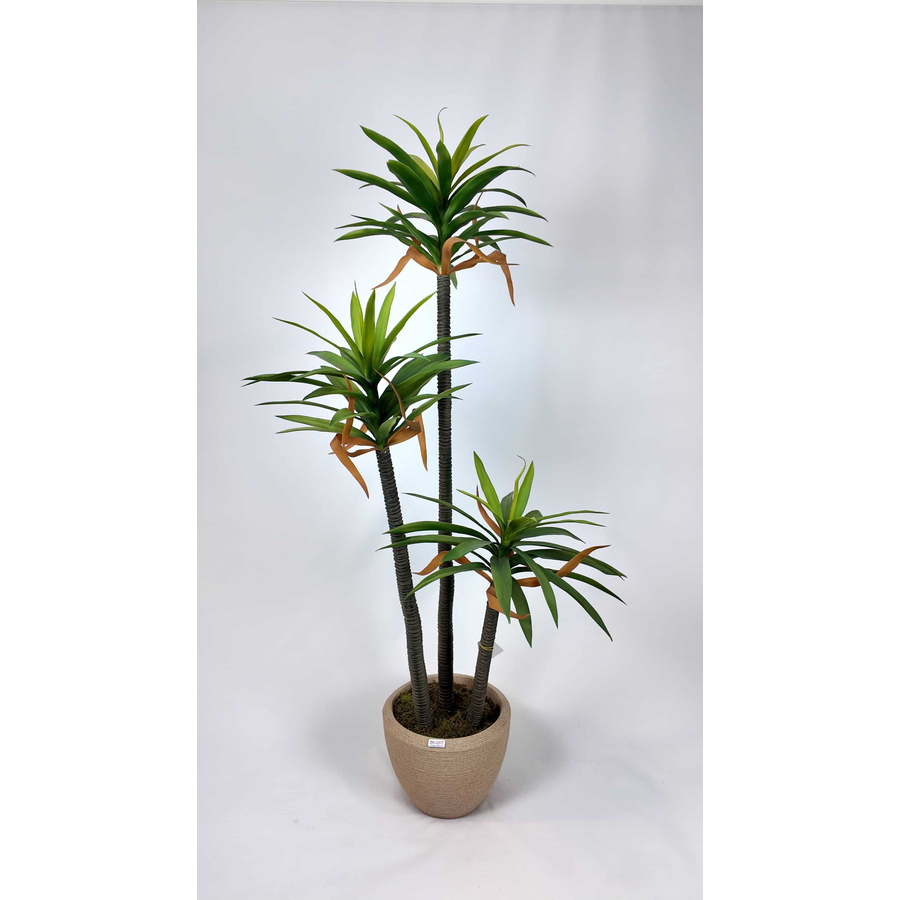 3'lü Aloe Vera Yapay Ağaç detay fotoğrafı