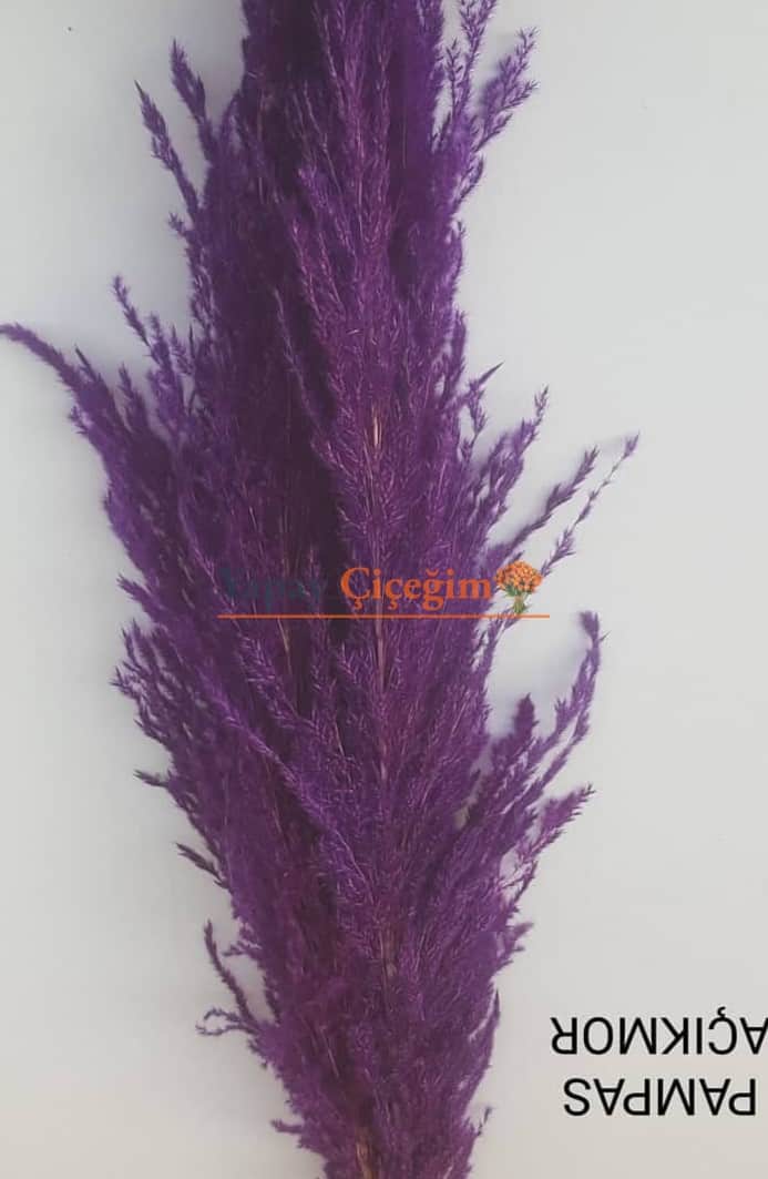 Acik Mor Pampas Otu Kuru Cicek Tl 1426