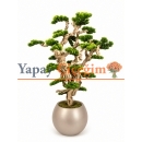 Bonsai Yapay Ağaç Plastik Saksılı