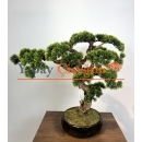 Yapay Küçük Bonsai Ağacı