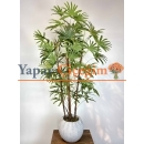 Yapay Rhapis Palmiyesi