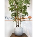 Yapay Rhapis Palmiyesi