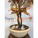 Kahverengi Yapay İğde Ağacı