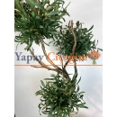 Bonzai Görünümlü Yapay Zeytin Ağacı