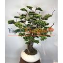 Süper Lüks Yapay Bonzai Ağacı – Dekoratif Ofis ve Ev Bonsai Modeli