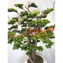 Süper Lüks Yapay Bonzai Ağacı – Dekoratif Ofis ve Ev Bonsai Modeli