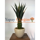 Dekoratif Yapay Agave Ağacı
