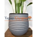 Strelitzia nicolai Yapay Ağaç