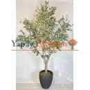 Dev Yapay Zeytin Ağacı