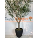 Dev Yapay Zeytin Ağacı