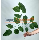 Büyük Yapay Yaprak Dalı