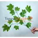 Çınar Ağacı Yaprağı