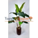 Alocasia Fil Kulağı Yapay Ağaç