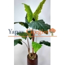 Alocasia Fil Kulağı Yapay Ağaç