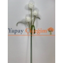 Beyaz Top Çiçek Uzun Vazo Çiçeği