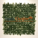 Artificial Green Wall at Best Price in Germany 50x50 cm