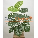 Monstera Ağacı 72 cm